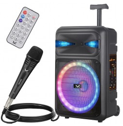 NEW Majestic FIRE T6 Cassa Bluetooth Karaoke 320WATT Bass Reflex TWS Microfono